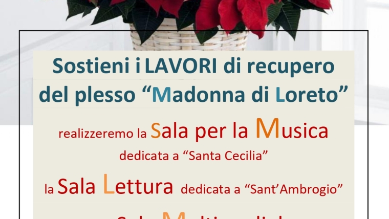 La tua Stella di Natale